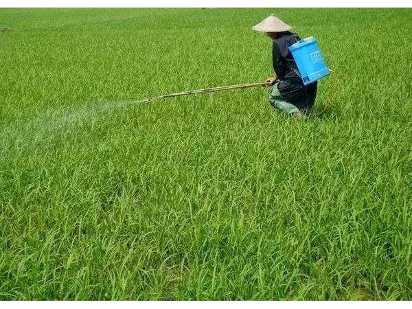 纳米研磨黄色视频榴莲视频农药新剂型产品
